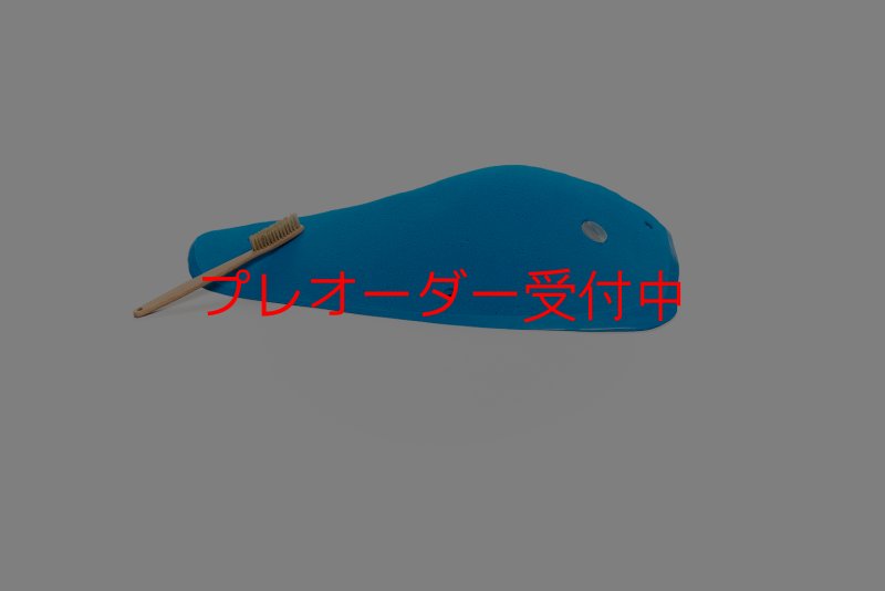画像1: CT Wings Pegase/プレオーダー (1)