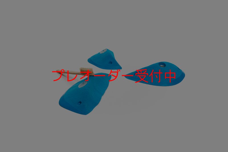 画像3: CT Wings Astraeos/プレオーダー (3)