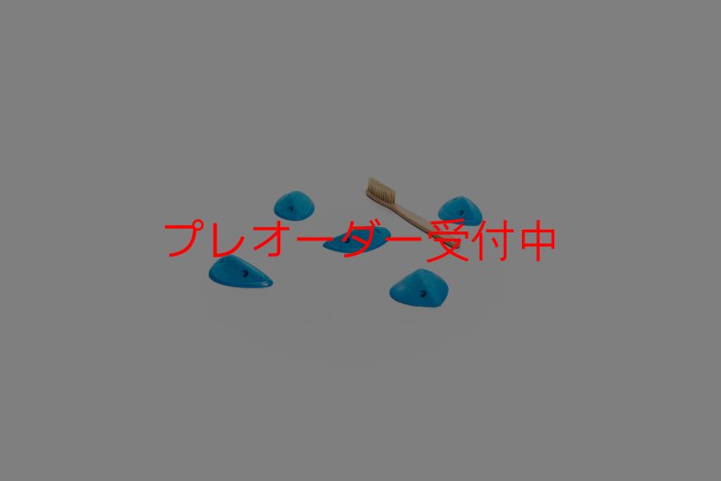画像4: CT Wings Ange/プレオーダー (4)