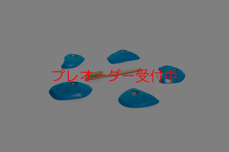 画像5: CT Wings Phenix/プレオーダー (5)