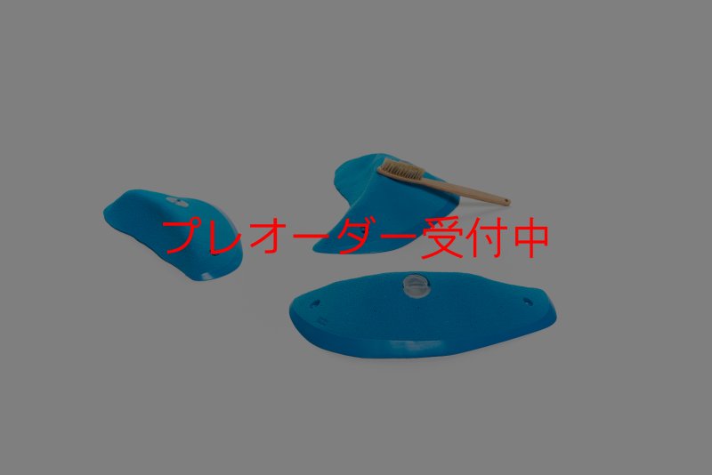 画像3: CT Wings Hermes/プレオーダー (3)
