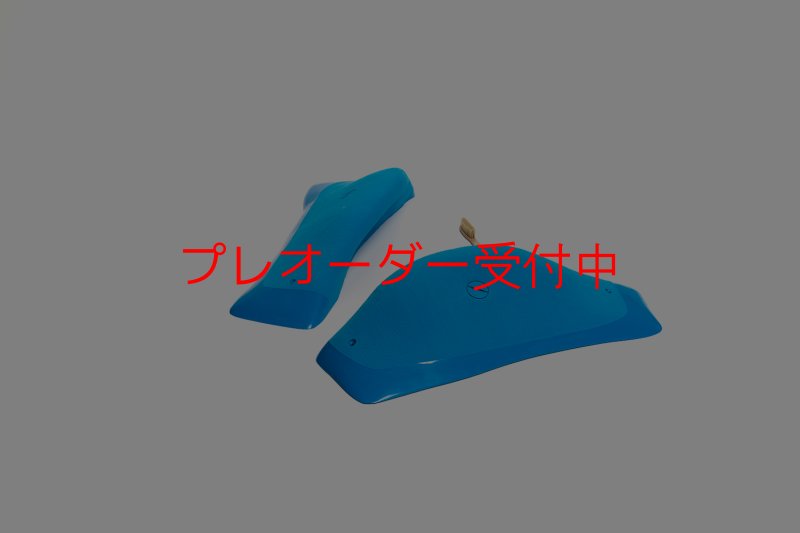 画像4: CT Wings Shadows/プレオーダー (4)