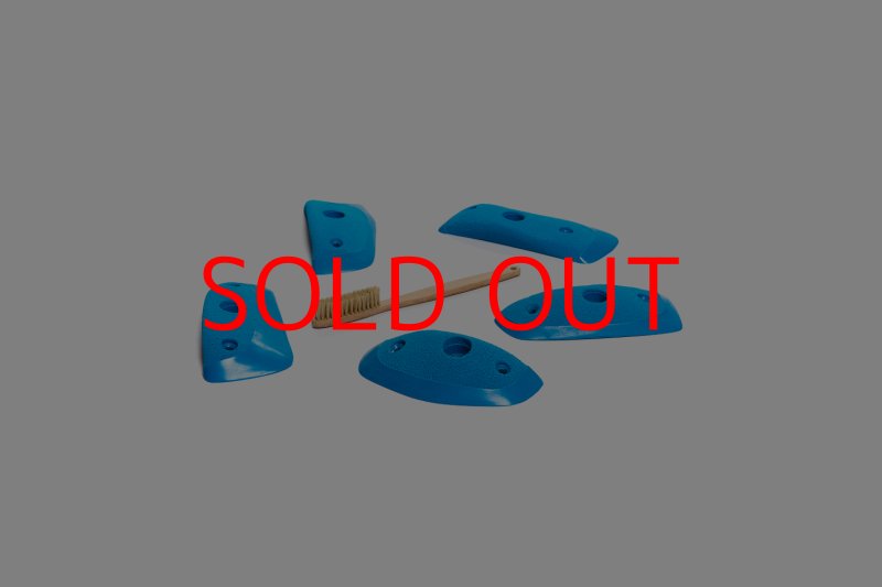 画像3: CT Wings Sparrow (3)