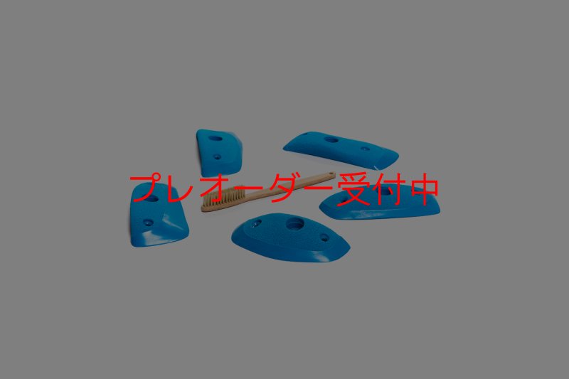 画像3: CT Wings Sparrow/プレオーダー (3)