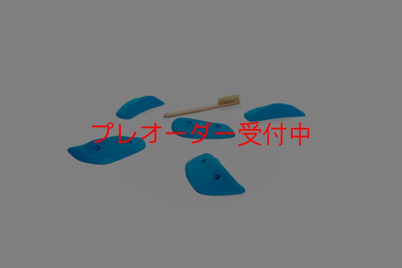 画像1: CT Wings Meduse/プレオーダー (1)