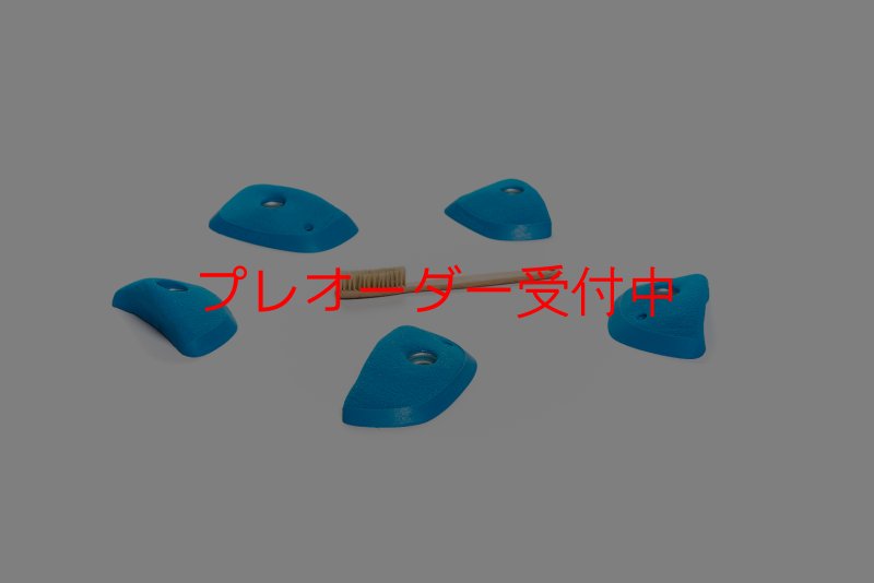 画像5: CT Wings Sphinx/プレオーダー (5)