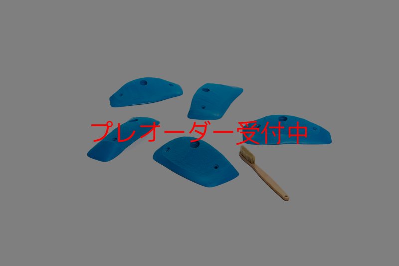 画像1: CT Wings Hawk/プレオーダー (1)