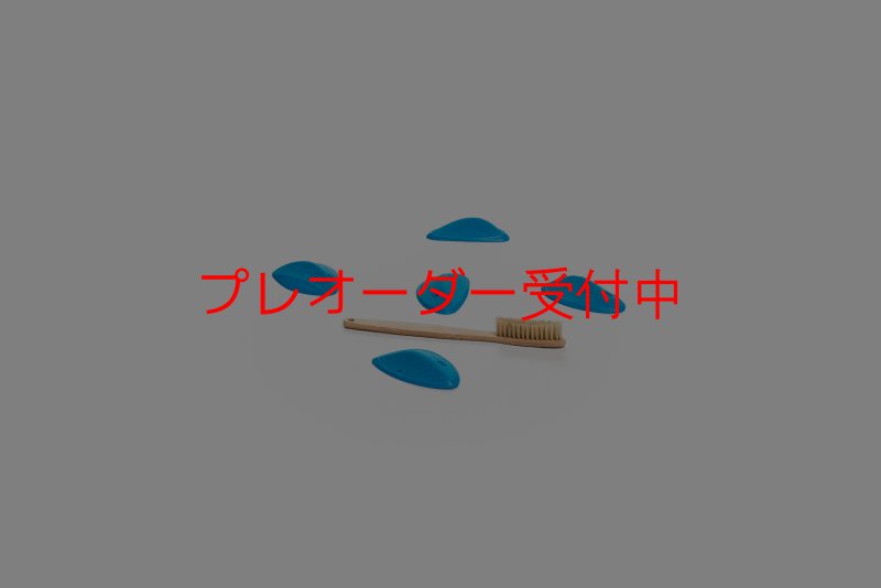 画像1: CT Wings Ange/プレオーダー (1)