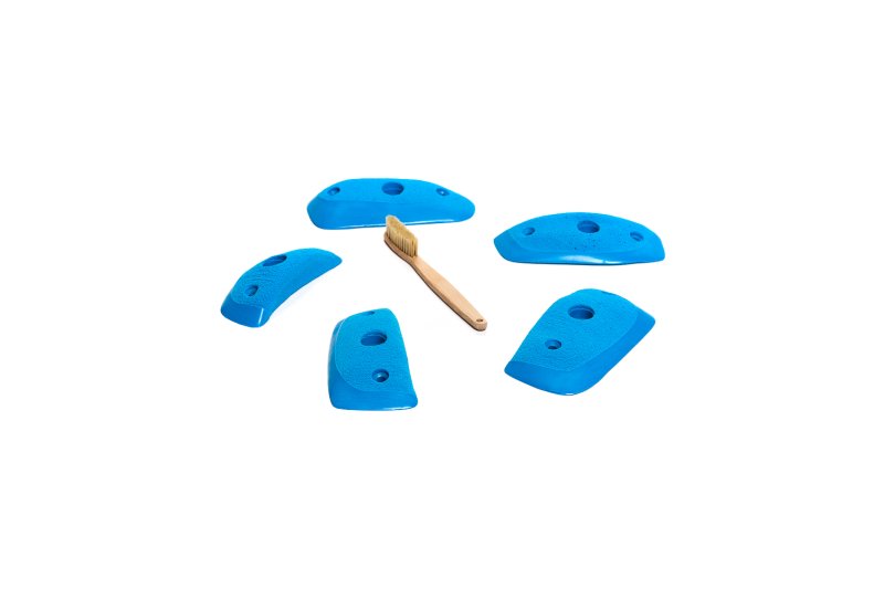 画像4: CT Wings Sparrow (4)