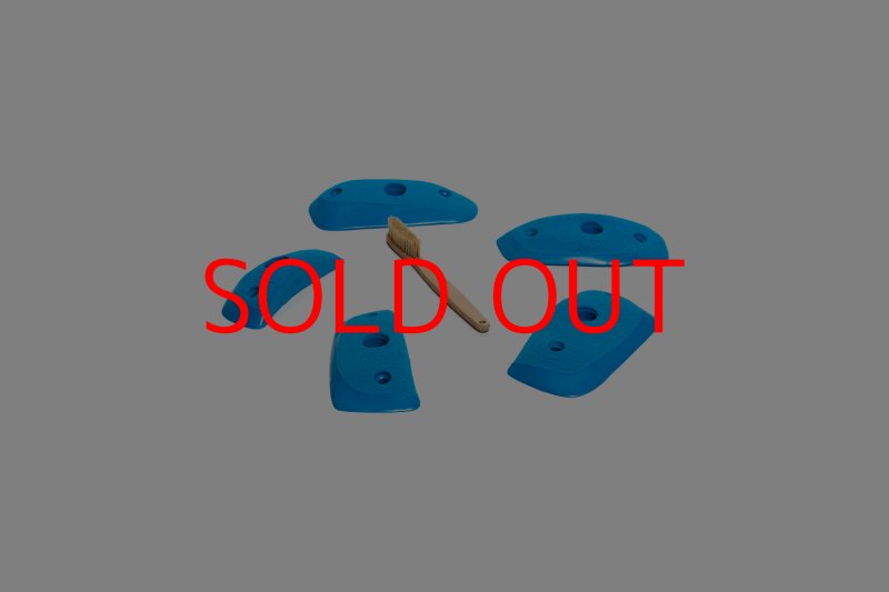 画像4: CT Wings Sparrow (4)