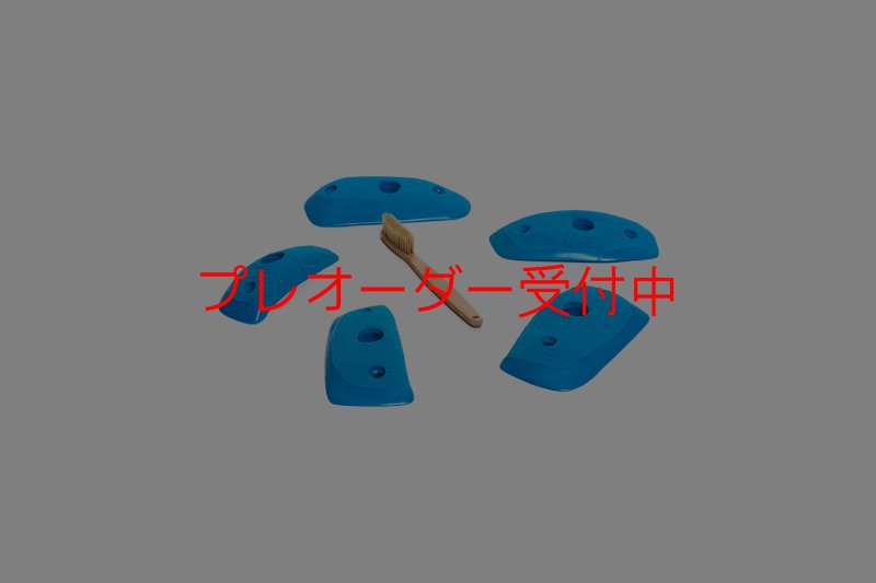 画像4: CT Wings Sparrow/プレオーダー (4)