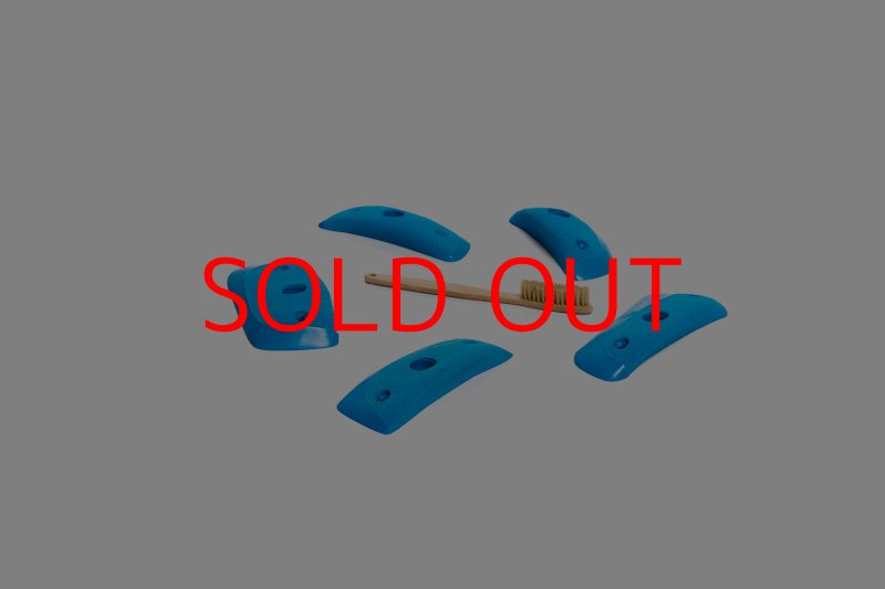 画像1: CT Wings Sparrow (1)