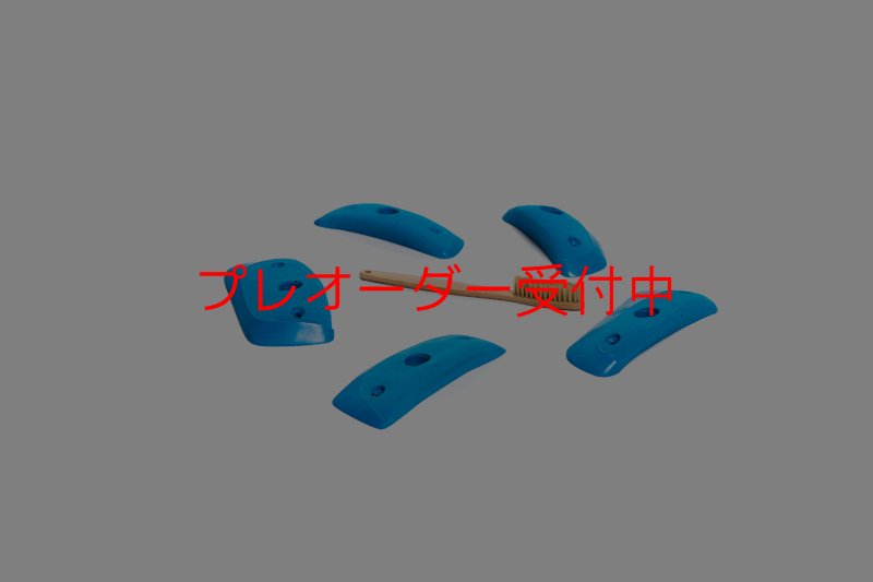 画像1: CT Wings Sparrow/プレオーダー (1)
