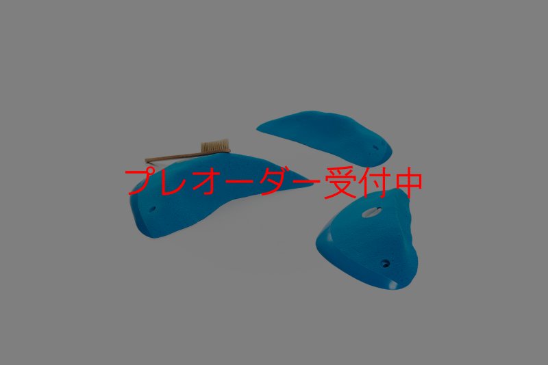 画像1: CT Wings Hermes/プレオーダー (1)