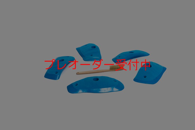 画像1: CT Wings Raptor/プレオーダー (1)