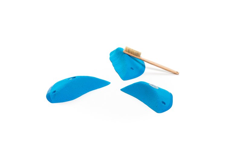 画像5: CT Wings Astraeos (5)