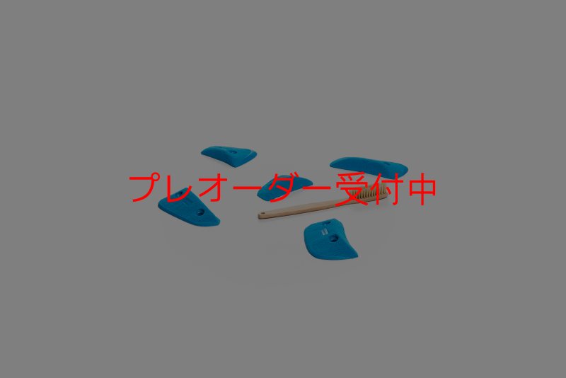 画像1: CT Wings Harpies/プレオーダー (1)