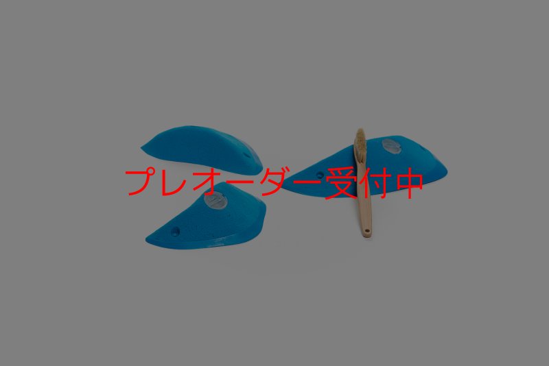 画像1: CT Wings Astraeos/プレオーダー (1)