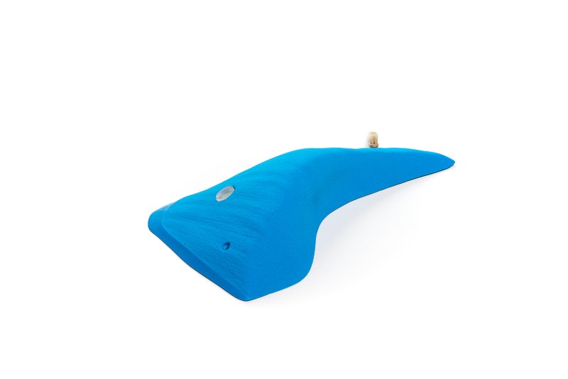 画像3: CT Wings Pegase (3)