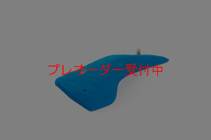 画像3: CT Wings Pegase/プレオーダー (3)