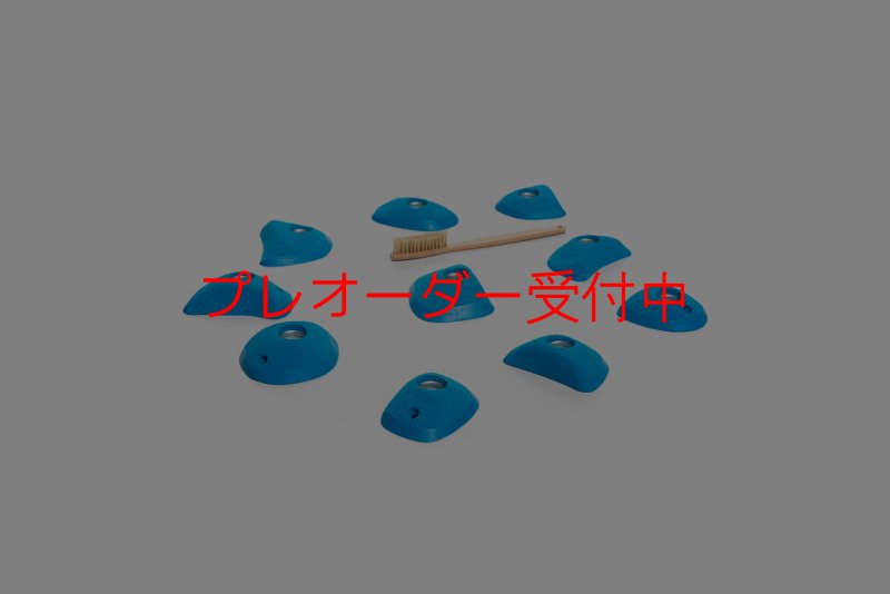 画像5: CT Wings Rokh/プレオーダー (5)