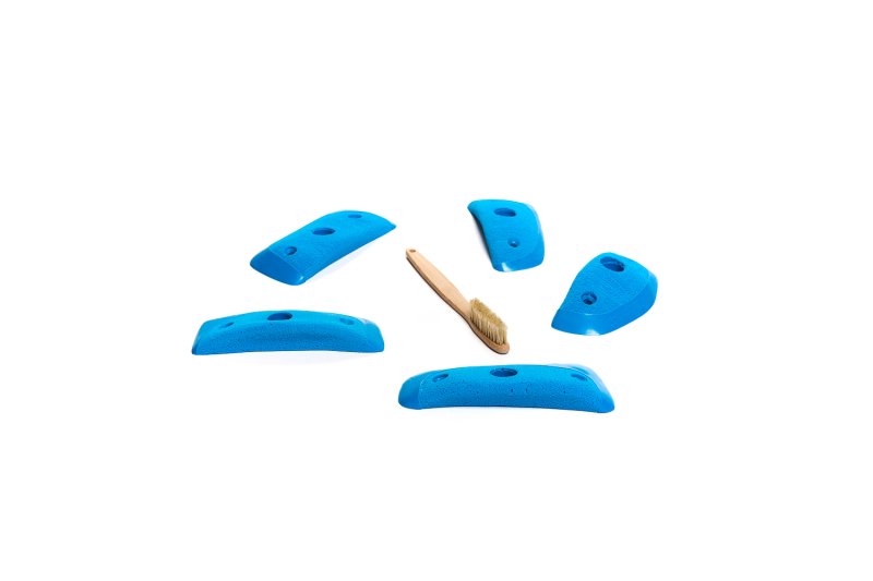 画像2: CT Wings Sparrow (2)