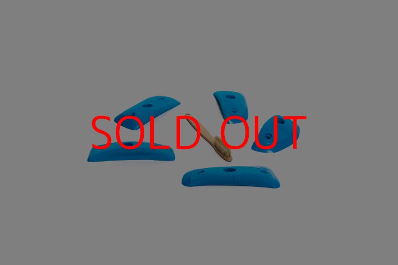 画像2: CT Wings Sparrow (2)