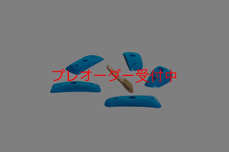 画像2: CT Wings Sparrow/プレオーダー (2)