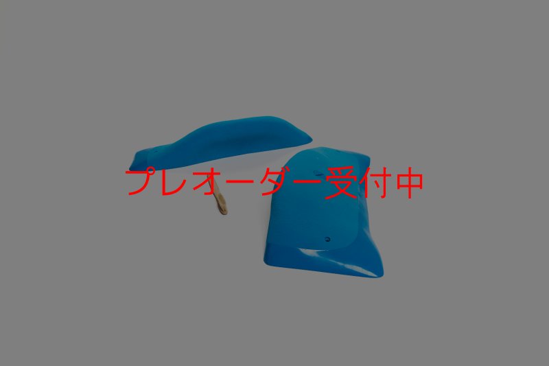 画像2: CT Wings Shadows/プレオーダー (2)