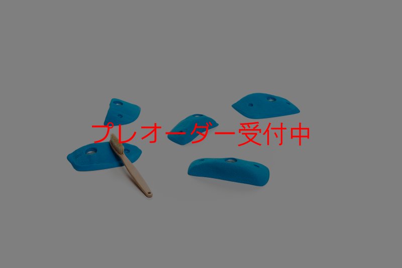 画像1: CT Wings Dedale/プレオーダー (1)