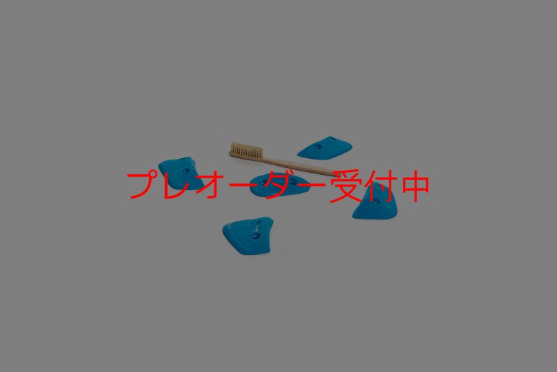 画像4: CT Wings Harpies/プレオーダー (4)