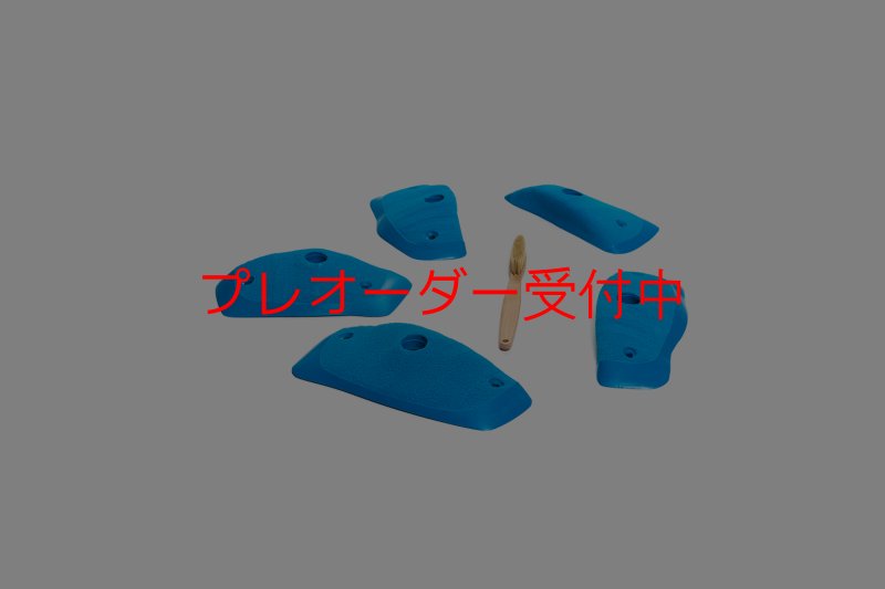 画像5: CT Wings Raptor/プレオーダー (5)