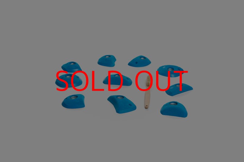 画像2: CT Wings Rokh (2)