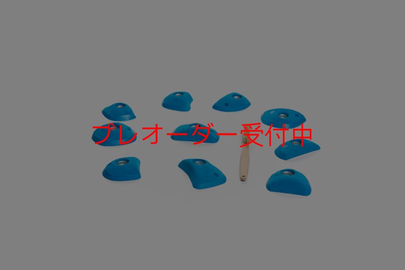 画像2: CT Wings Rokh/プレオーダー (2)