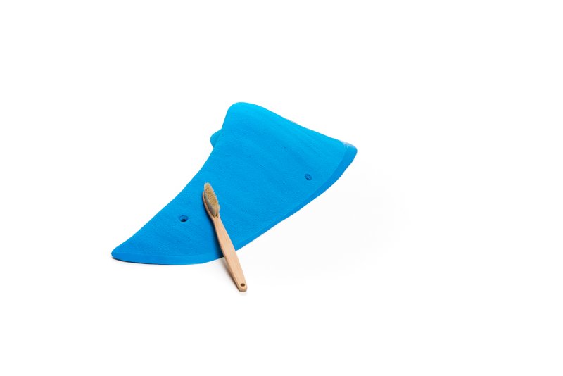 画像5: CT Wings Pegase (5)