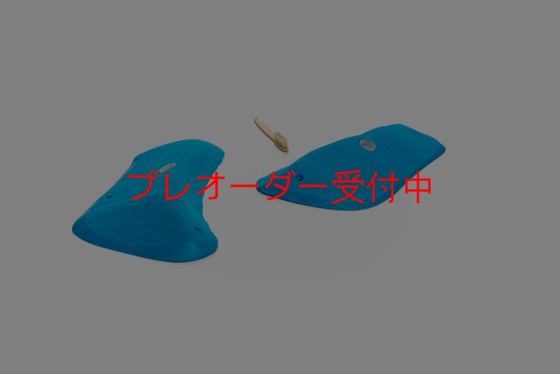 画像2: CT Wings Eos/プレオーダー (2)