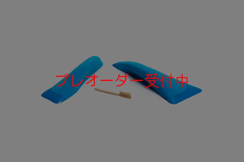 画像1: CT Wings Shadows/プレオーダー (1)