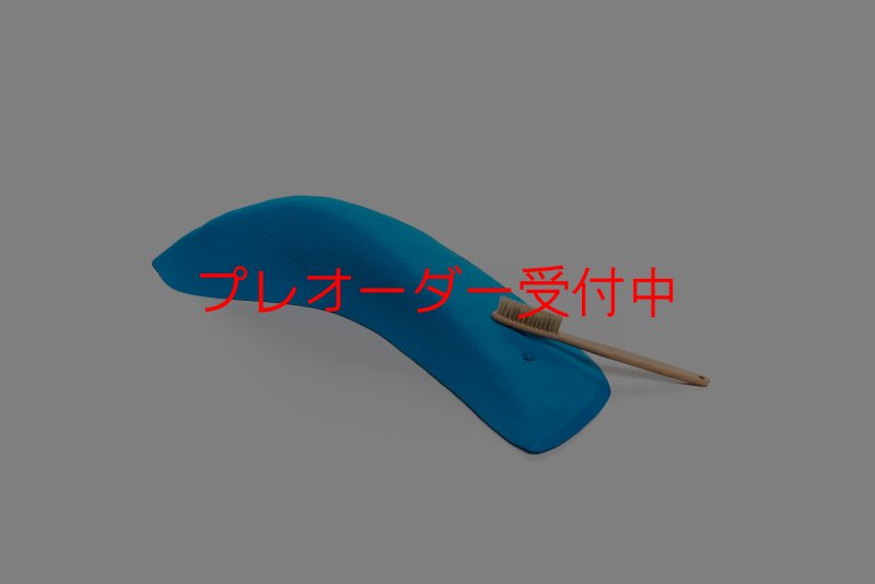 画像4: CT Wings Pegase/プレオーダー (4)