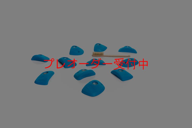画像5: CT Wings Valkyrie/プレオーダー (5)