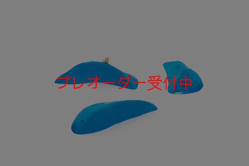 画像2: CT Wings Hermes/プレオーダー (2)