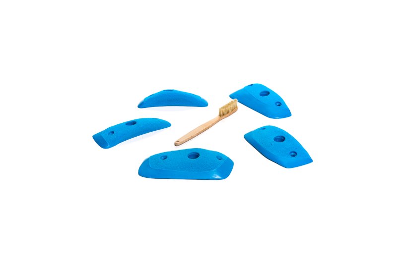 画像5: CT Wings Sparrow (5)