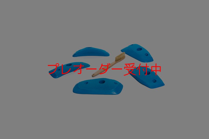 画像5: CT Wings Sparrow/プレオーダー (5)