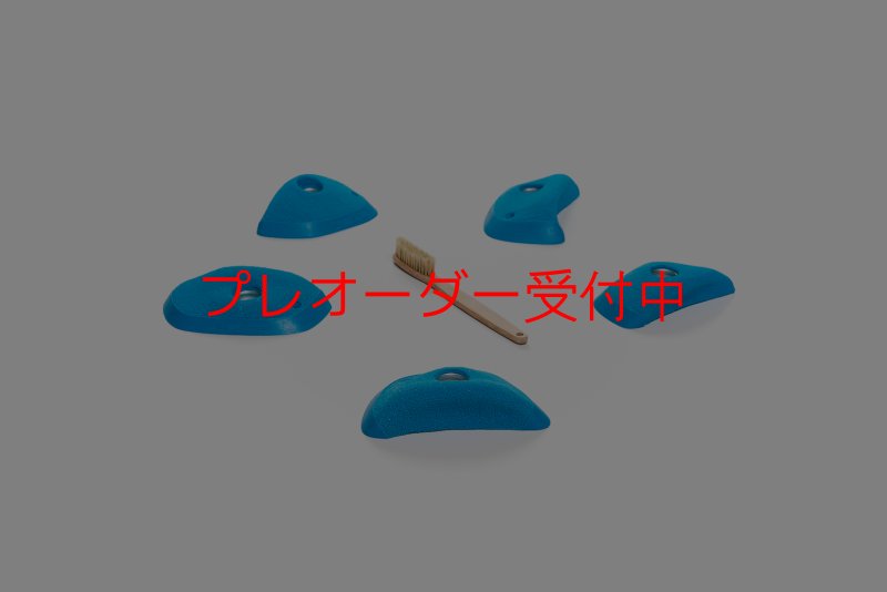 画像1: CT Wings Sphinx/プレオーダー (1)