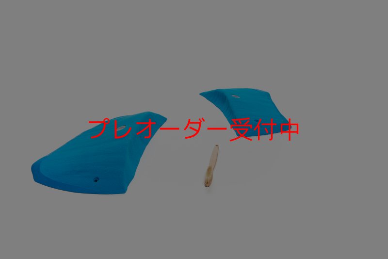 画像3: CT Wings Icare/プレオーダー (3)