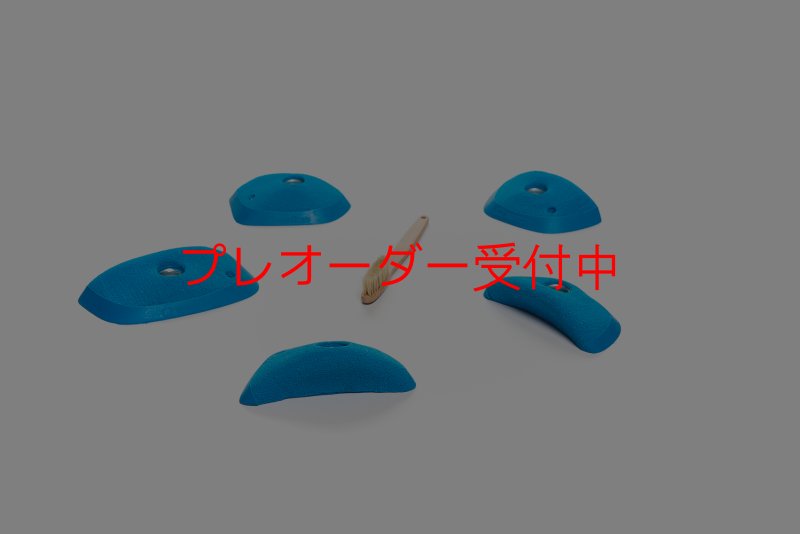 画像4: CT Wings Sphinx/プレオーダー (4)