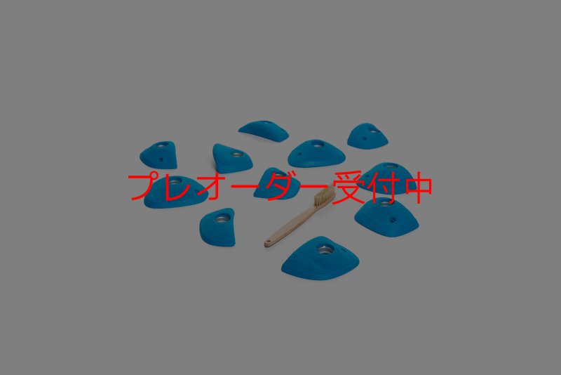 画像2: CT Wings Valkyrie/プレオーダー (2)