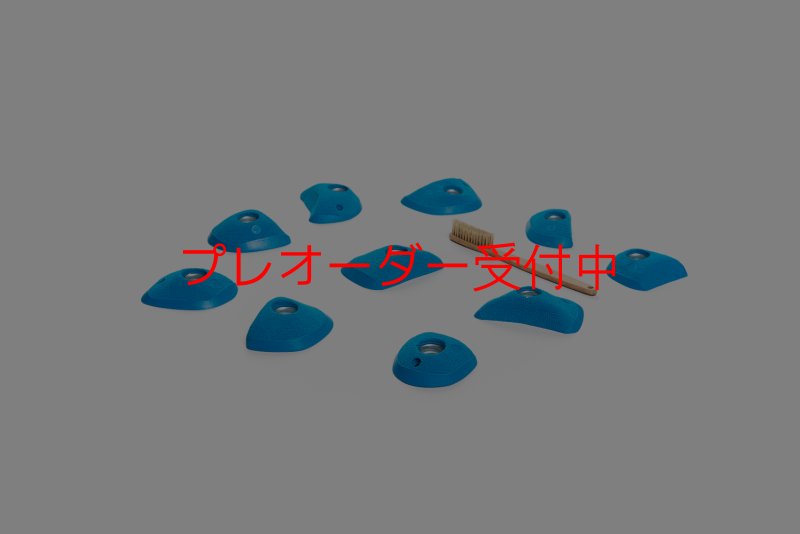画像1: CT Wings Rokh/プレオーダー (1)