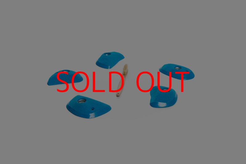 画像2: CT Wings Phenix (2)