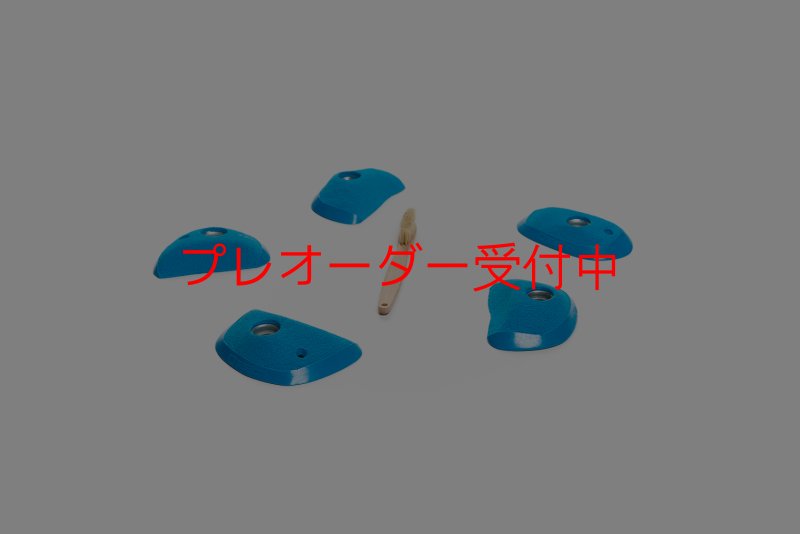 画像2: CT Wings Phenix/プレオーダー (2)