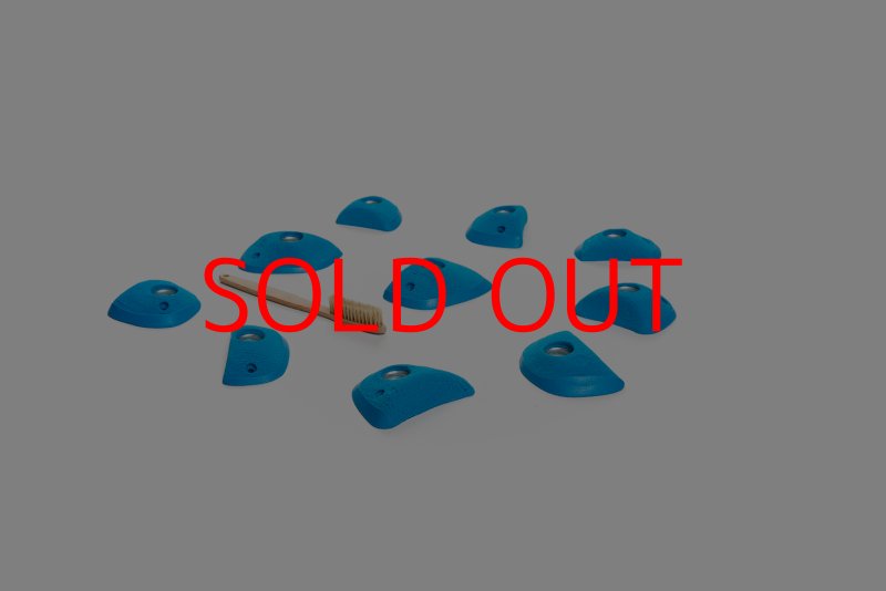 画像4: CT Wings Rokh (4)